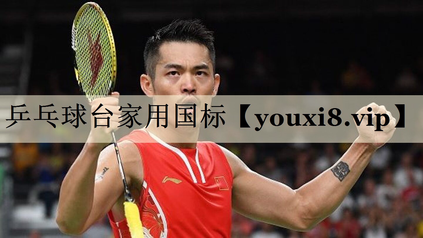 乒乓球台家用国标