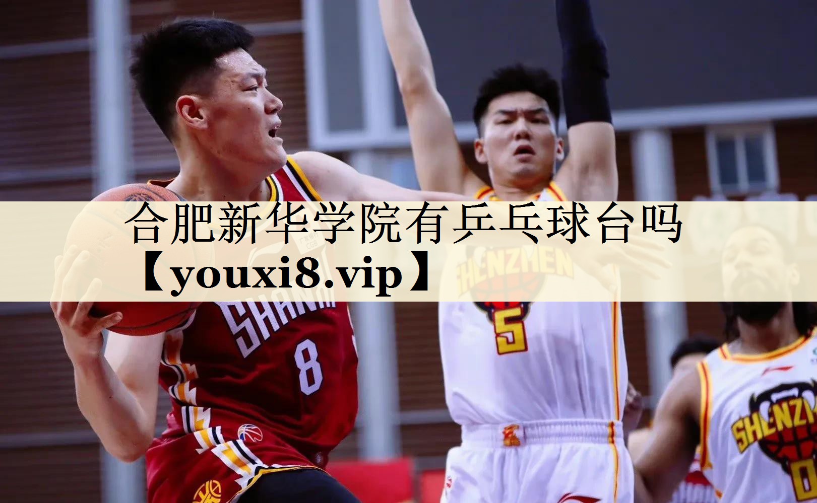 合肥新华学院有乒乓球台吗