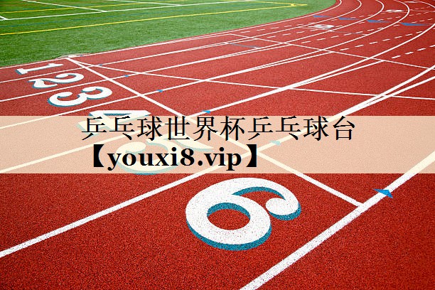 乒乓球世界杯乒乓球台